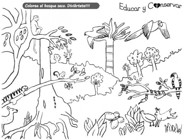 Esistema terrestre y acuati dibujo de un esistema esistemas
