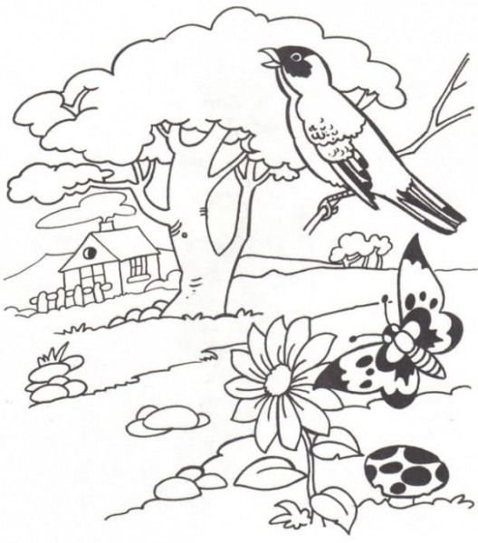 Paisajes de la naturaleza para colorear boyama sayfalarä boyama sayfalarä mandala manzara boyama