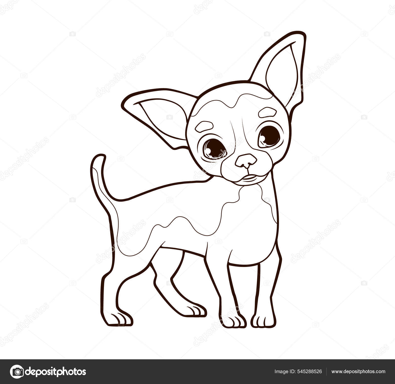 Libro para colorear pequeão perro chihuahua divertido con orejas grandes estã parado en patas delgadas ilustraciãn vectorial en estilo de dibujos animados lãnea en blanco y negro vector de stock por hannashvets