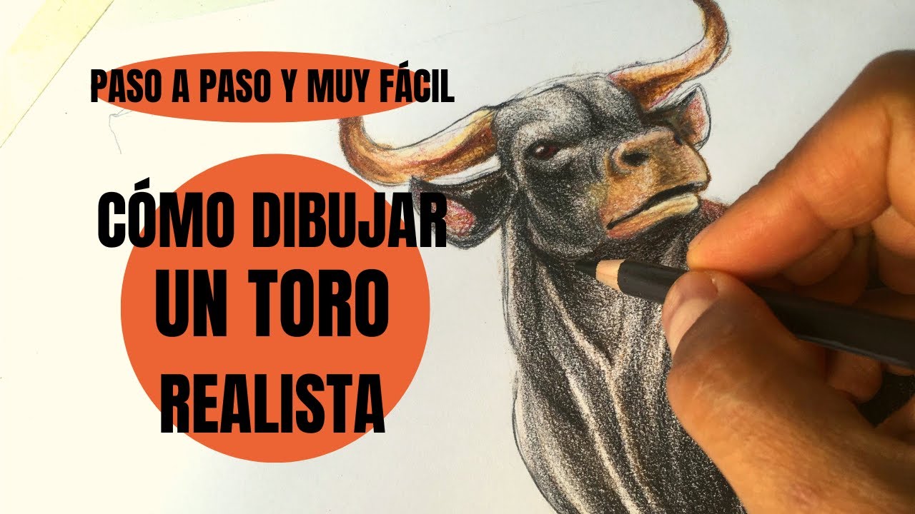 Te digo cão se dibuja un toro realista paso a paso uy fãcil