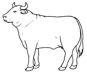 Dibujos pa colore maestra de infantil y primia dibujos de vacas bueyes y toros pa colore dibujos a color pa impriâ dibujos de toros toros vacas