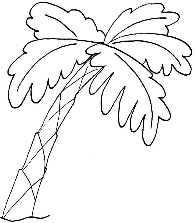 Recursos y actividades pa educaciãn infantil con los que todo maestro sueãa juegos â dibujos pa colore pãginas pa colore dibujos pa pint faciles