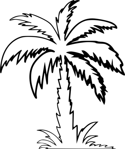 Dibujo de palmera para colorear dibujos para colorear imprimir gratis