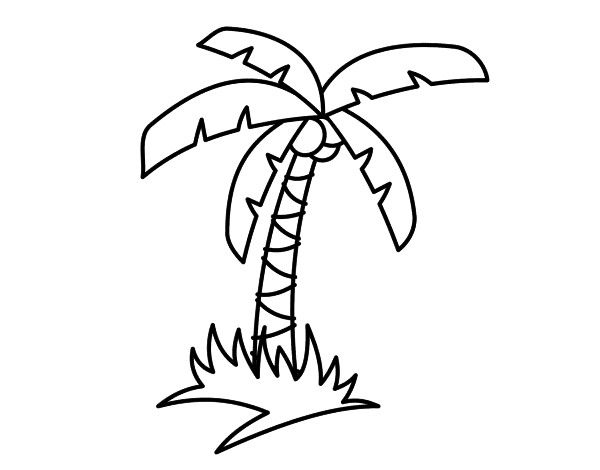Dibujo palmeras