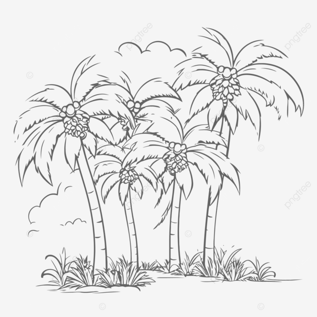 Dibujo de una palmera en zona tropical para colorear vector png dibujos dibujo de palmera dibujo de arbol dibujo de ala png y vector para dcargar gratis