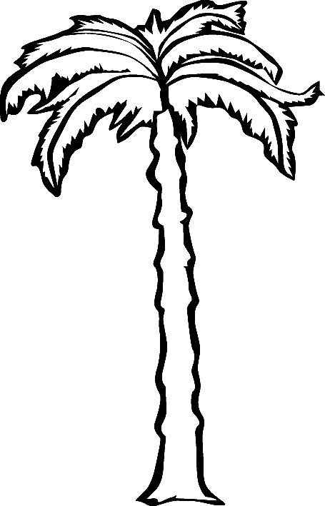 Desenhos para colorir natureza hojas de palmera palma de cera pãginas para colorear
