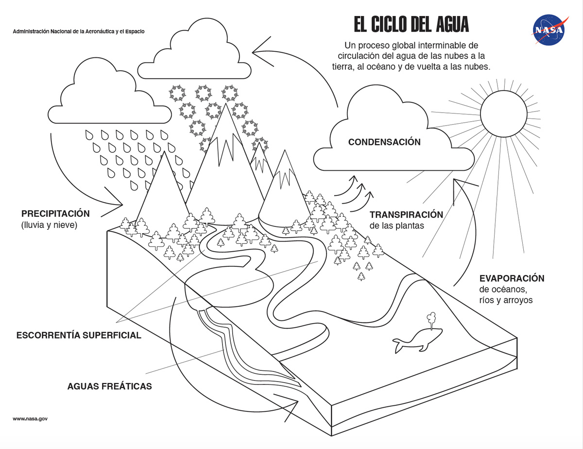 Pãgina de colorear el ciclo del agua â change vital signs of the planet