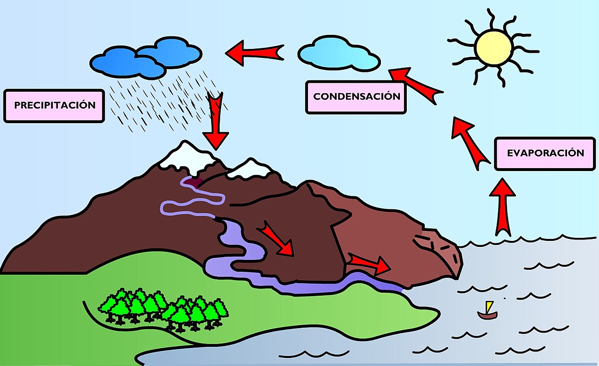 Fileciclo del agua colorjpg