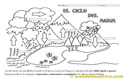 Pin en ciclo del agua