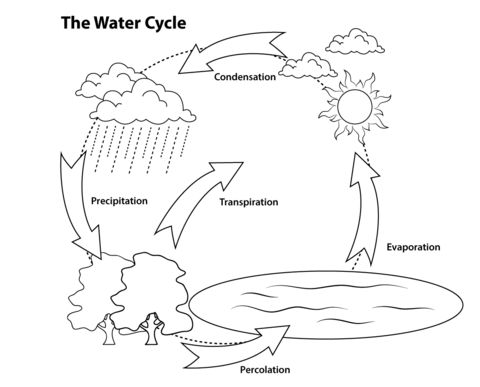 Simple water cycle printable coloring page ciclo del agua dibujo ciclo del agua actividades del ciclo del agua