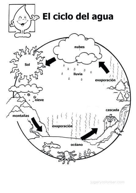 Fichas para el ciclo del agua ciclo del agua agua para colorear ciencia preescolar