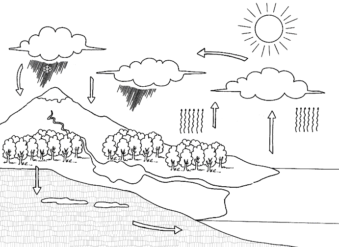 Ciclodelaguagif ã ciclo del agua agua para colorear actividades