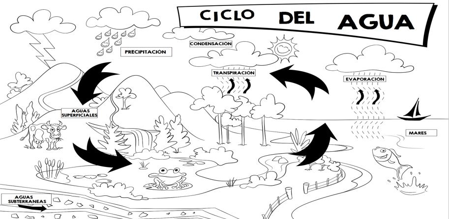 Ciclo del agua para colorear