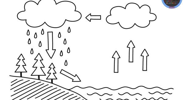 Ciclo del agua para colorear muy interesante para primaria ciclo del agua agua para colorear ciclo del agua dibujo