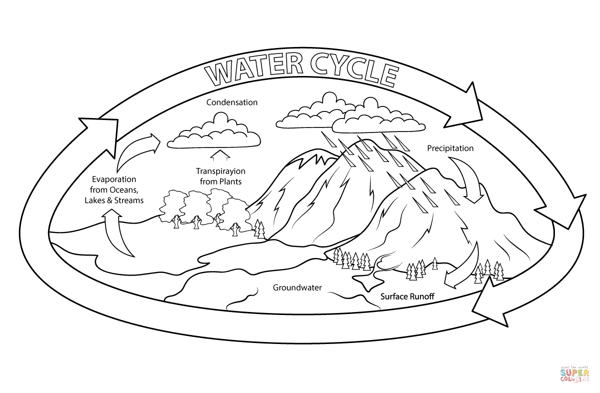Dibujo de ciclo del agua para colorear dibujos para colorear imprimir gratis