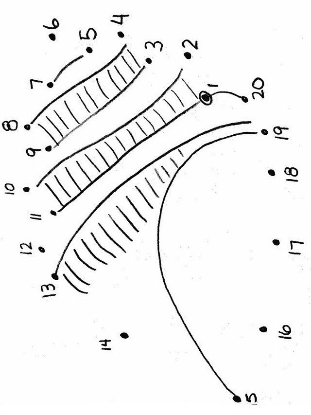 Unir puntos dibujo