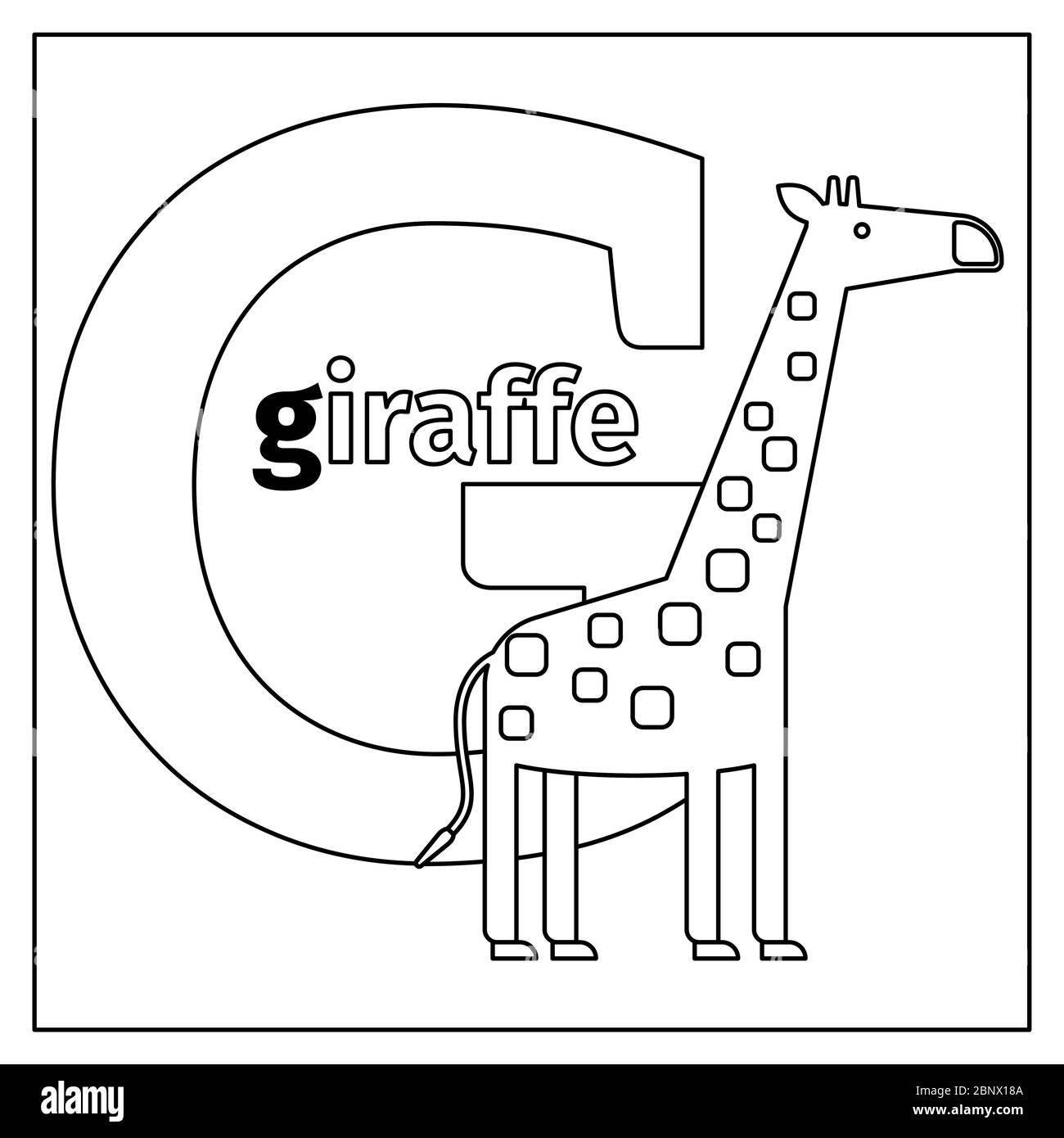 Pãgina para colorear o tarjeta para niãos con el alfabeto inglãs de los animal del zoolãgico giraffe ilustraciãn vectorial de la letra g imagen vector de stock