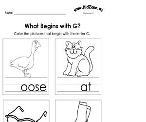 Activity sheet