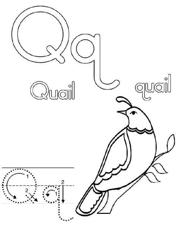 Letter
