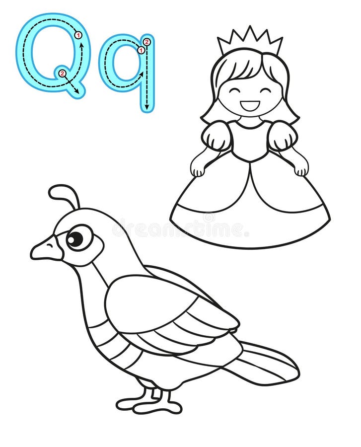 Printable coloring page for kindergarten and prchool card for study english vector coloring book alphabet letter q ilustraciãn del vector