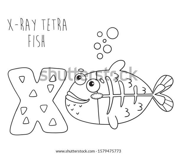 Animal alphabet english coloring xray tetra vector de stock libre de regalãas