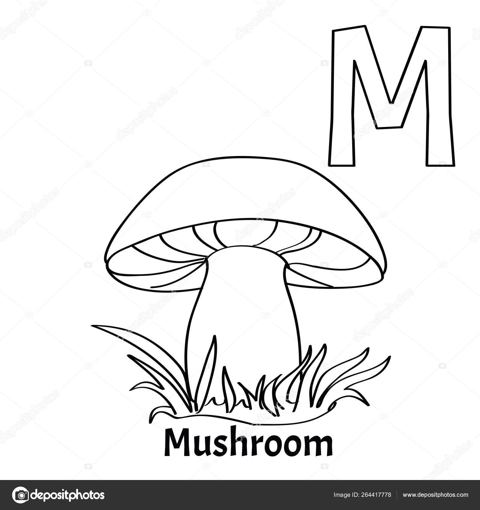 Letra m del alfabeto vectorial pãgina para colorear hongos vector de stock por saycheese