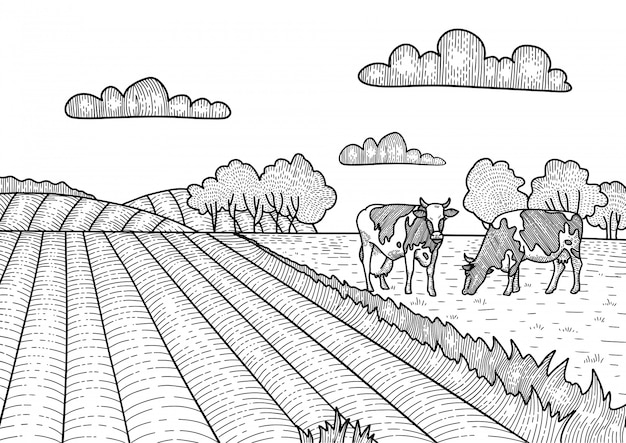 Imãgen de cultivo dibujo