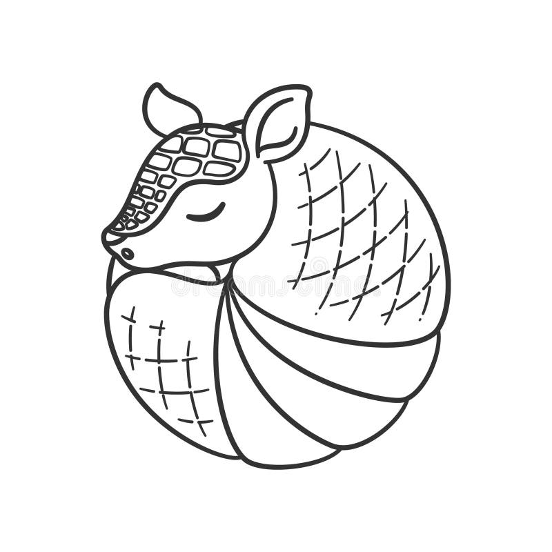 Armadillo coloring stock illustrations â armadillo coloring stock illustrations vectors clipart