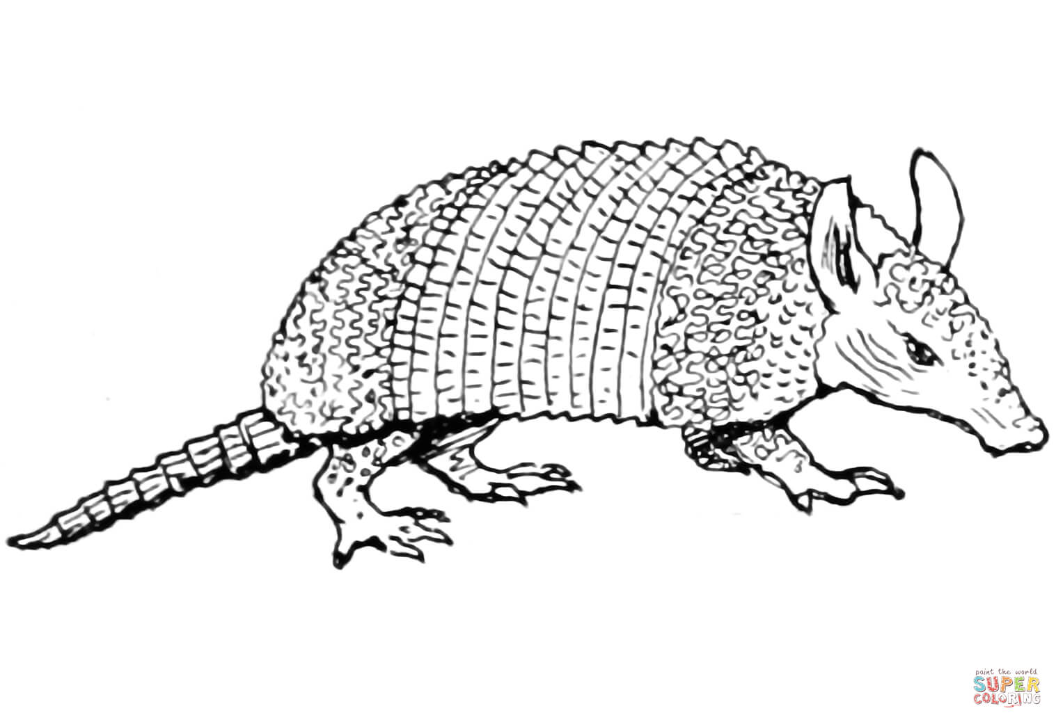 Armadillo coloring page free printable coloring pages