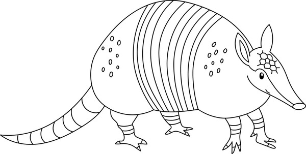 Imãgenes fotos de stock objetos en d y vectores sobre armadillo with book