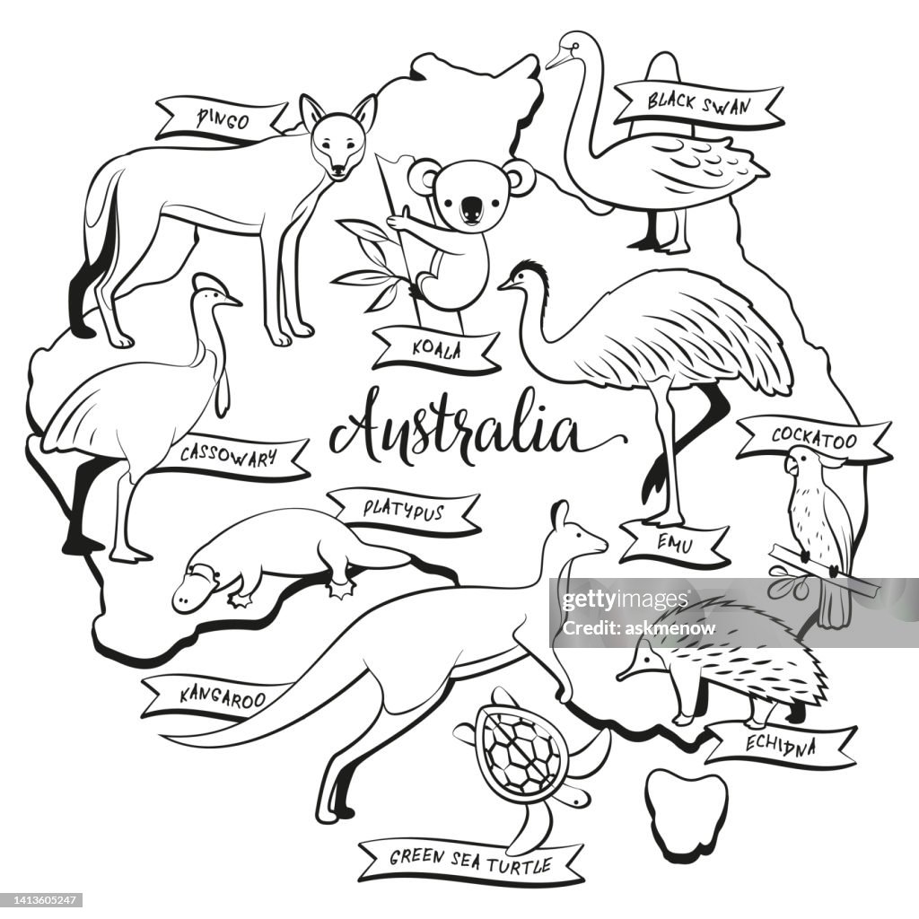 Dibujo de animales y aves de australia para colorear ilustraciãn de stock