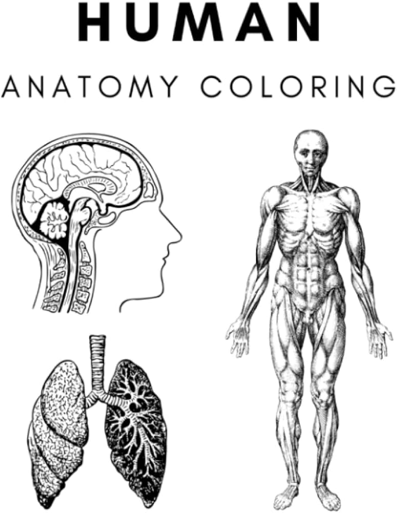 Anatomy coloring book escuela secundaria libro de anatomãa para adolescentes libro para colorear biologãa press outer limits libros