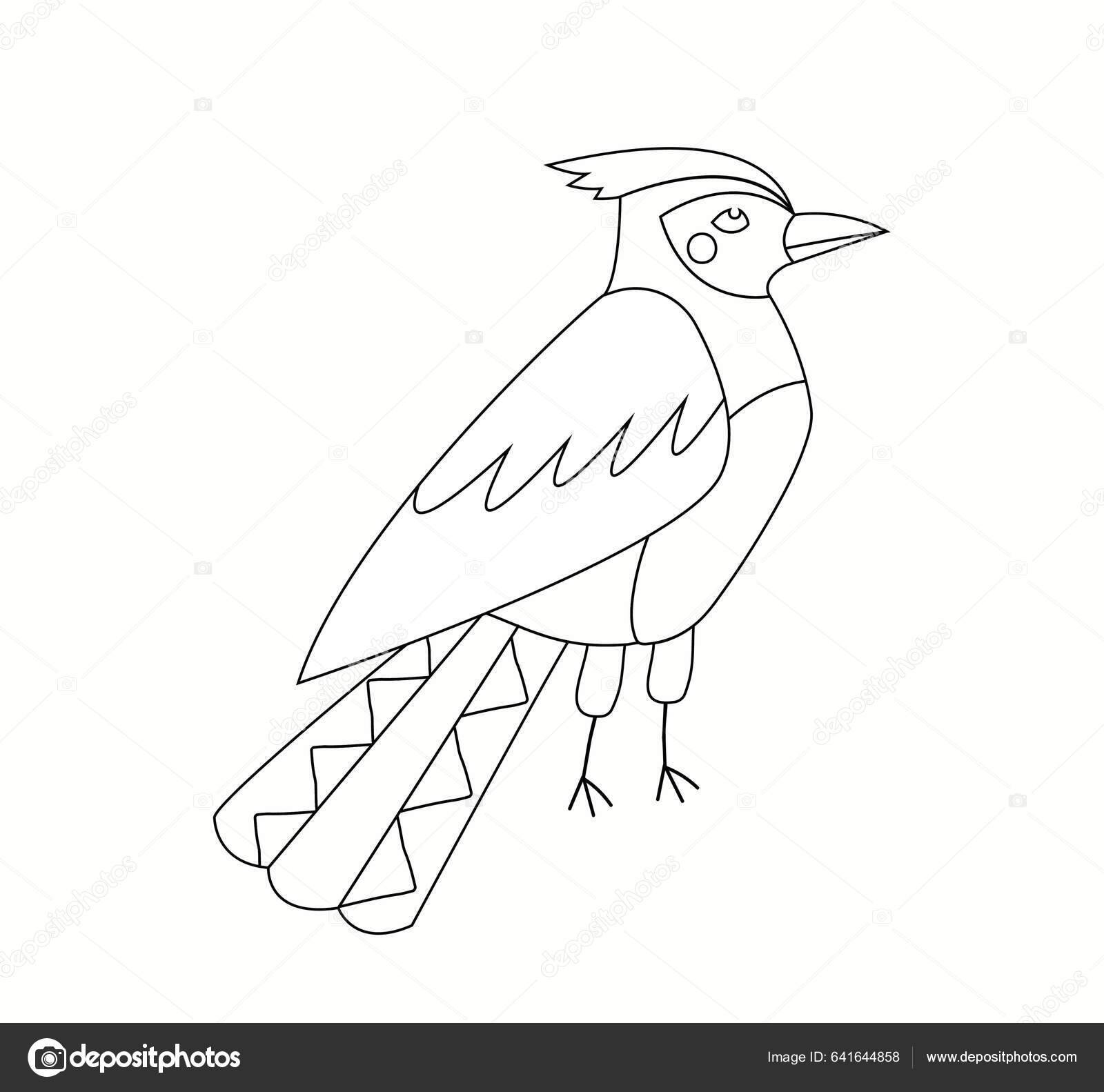 Pãgina para colorear con pãjaro biologãa ornitologãa fauna vida silvestre vector de stock por mentalmind
