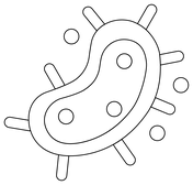 Biology coloring pages free coloring pages