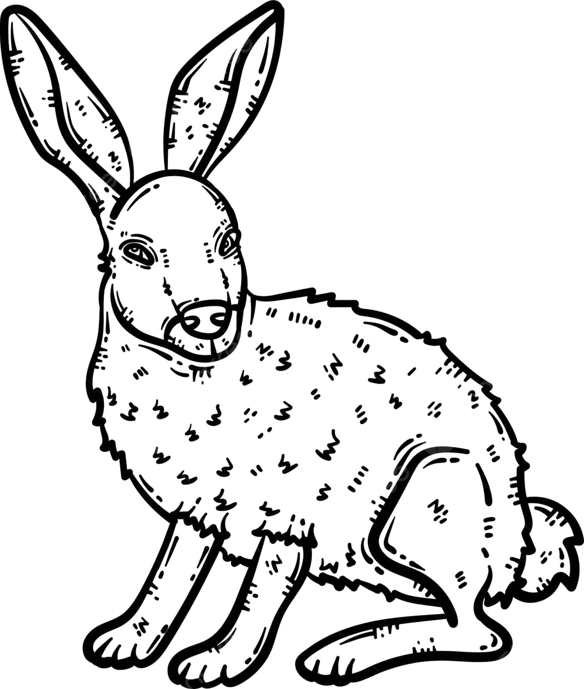 Dibujo de conejo animal pãgina para colorear adultos dibujado a mano libro contorno vector png dibujos dibujo de conejo dibujo de animal dibujo de libro png y vector para dcargar gratis