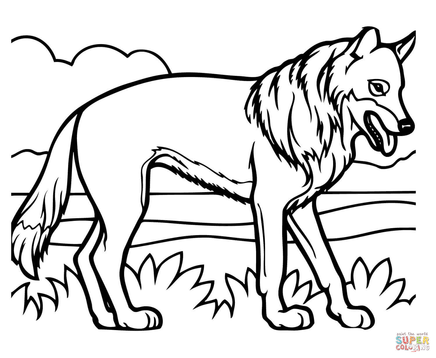 Realistic coyote coloring page free printable coloring pages