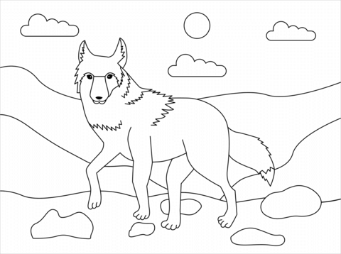 Dibujo de coyote para colorear dibujos para colorear imprimir gratis