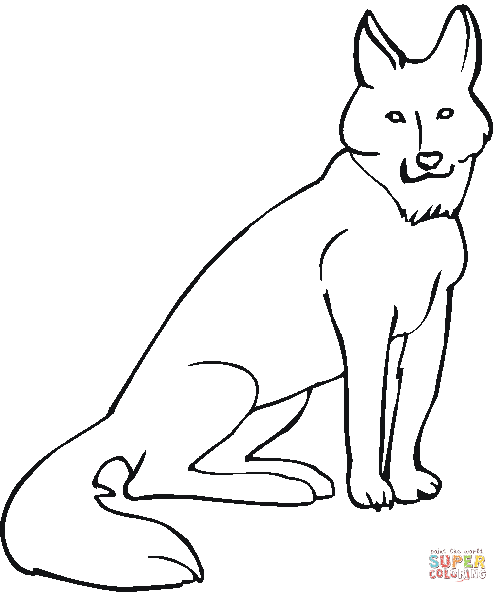 Coyote coloring page free printable coloring pages