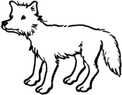 Coyote coloring pages free coloring pages