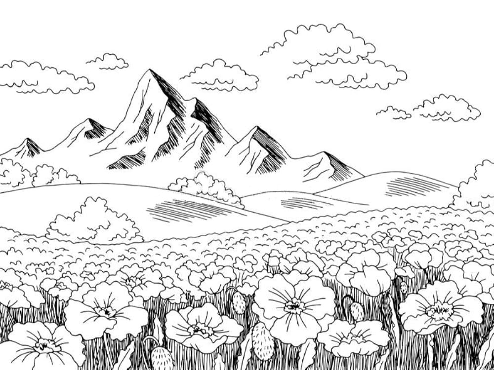 Libro para colorear para descargar