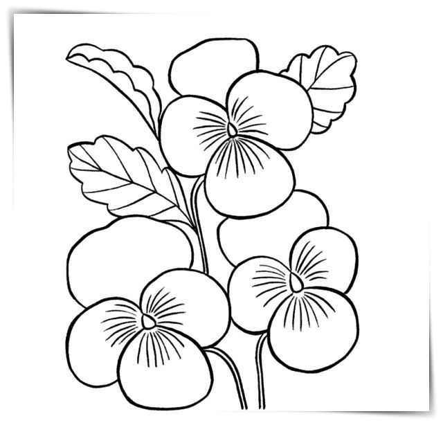 Hermosas imãgenes de flores para colorear para que los mãs chicos se puedan divertir pintando a flores y dãndole vida dibujoâ sketsa bunga sketsa gambar bunga