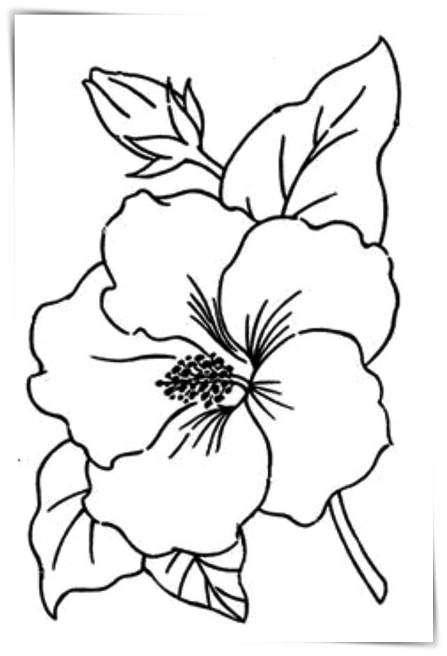 Hermosas imãgenes de flores para colorear para que los mãs chicos se puedan divertir pintando a florâ simple flower drawing flower drawing easy flower drawings
