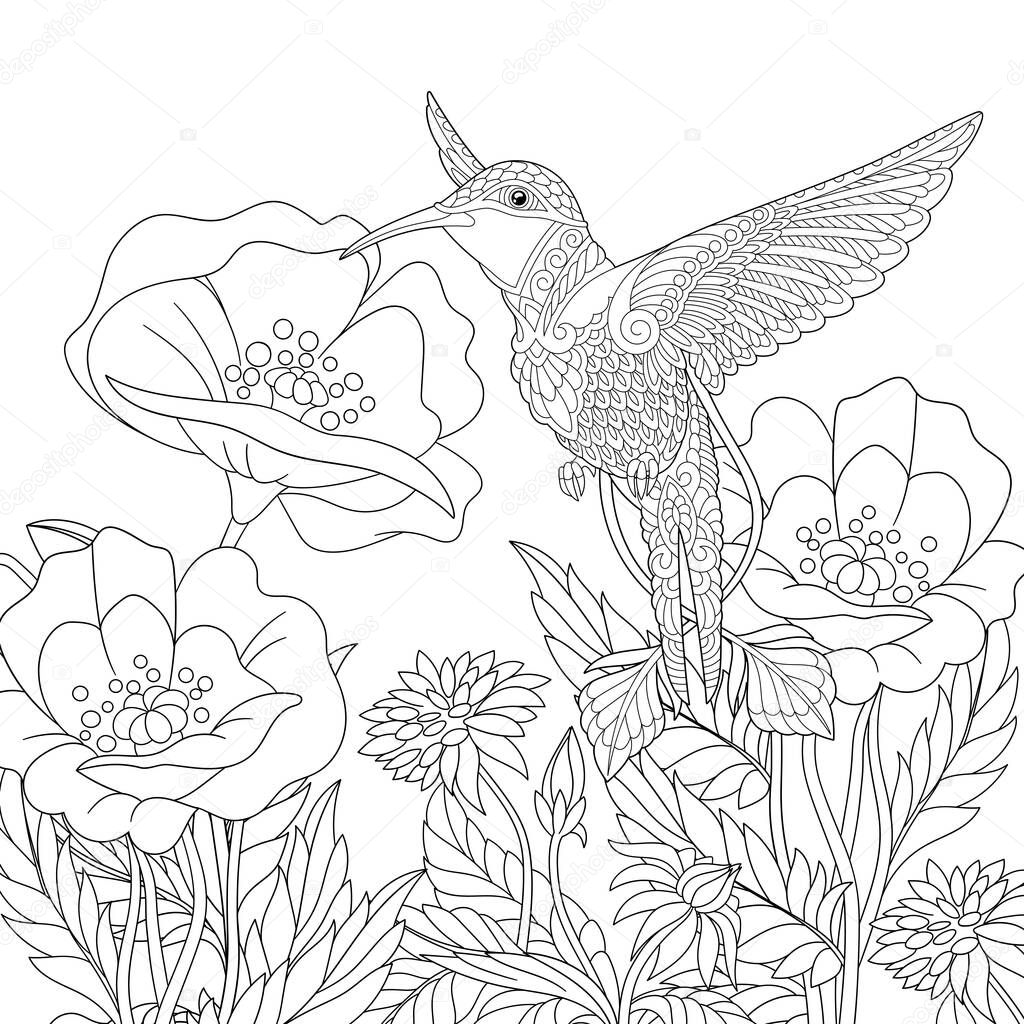 Pãgina para colorear imagen para colorear hermosas flores colibrã amapola vector de stock de sybirko