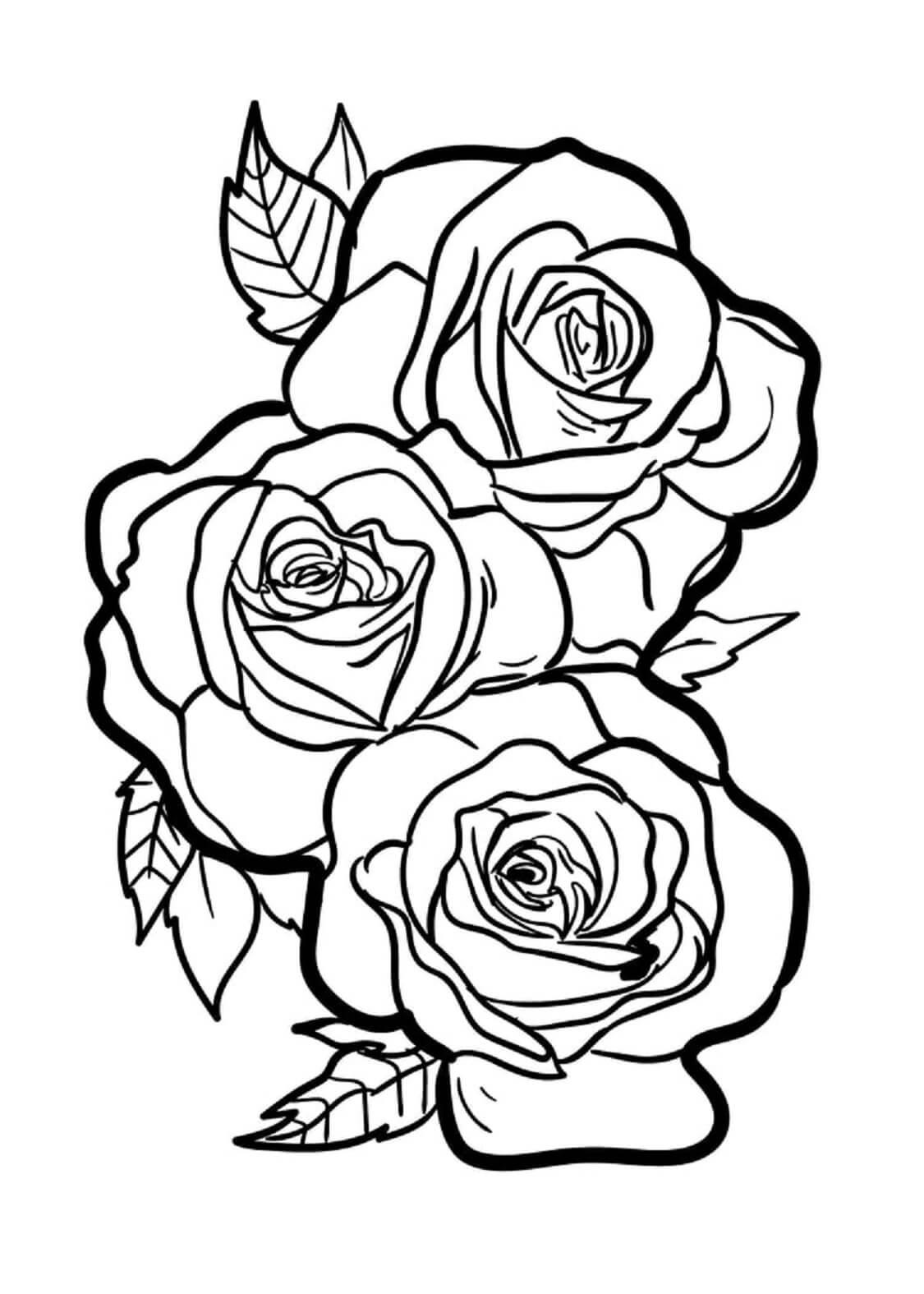 Rose coloring pages
