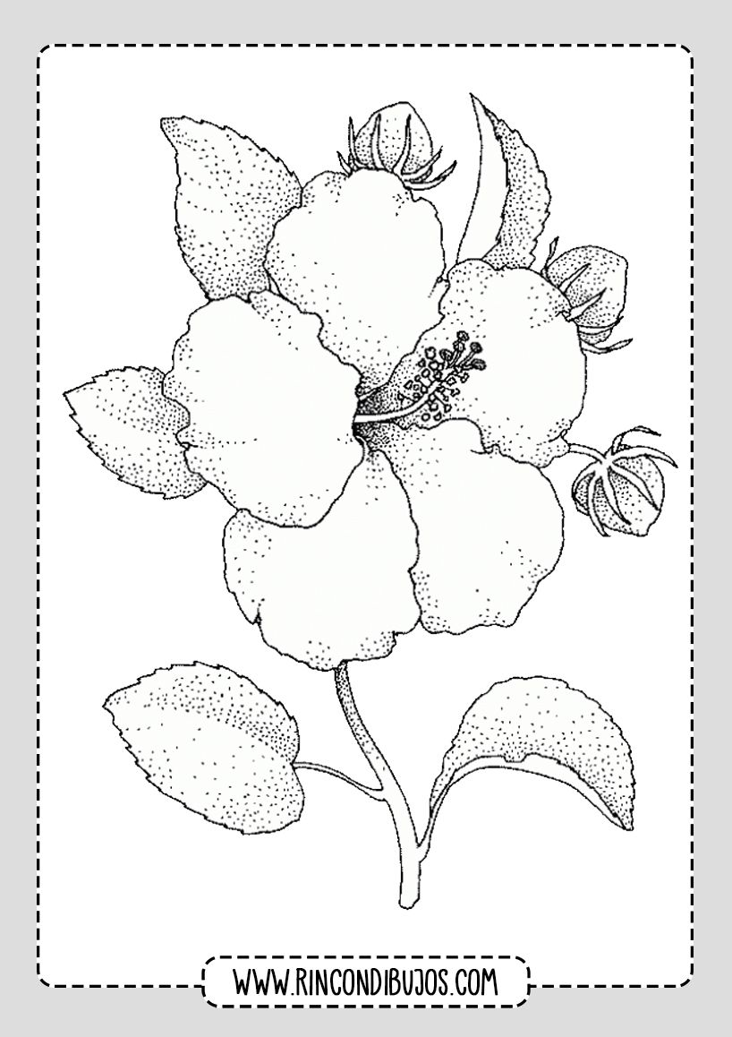 Dibujos de flor muy bonitas para colorear