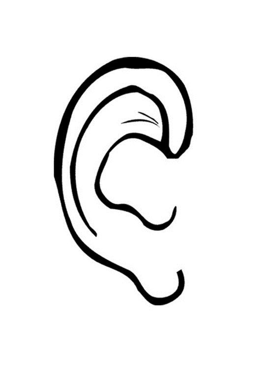 Ear pictures for kids ear picture printable pictures super coloring pages