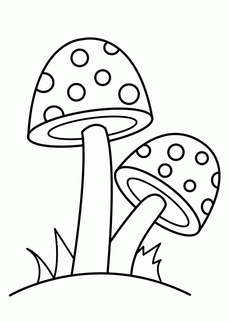 Hongos colorear ð