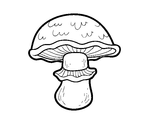 Dibujo de seta portobello para colorear