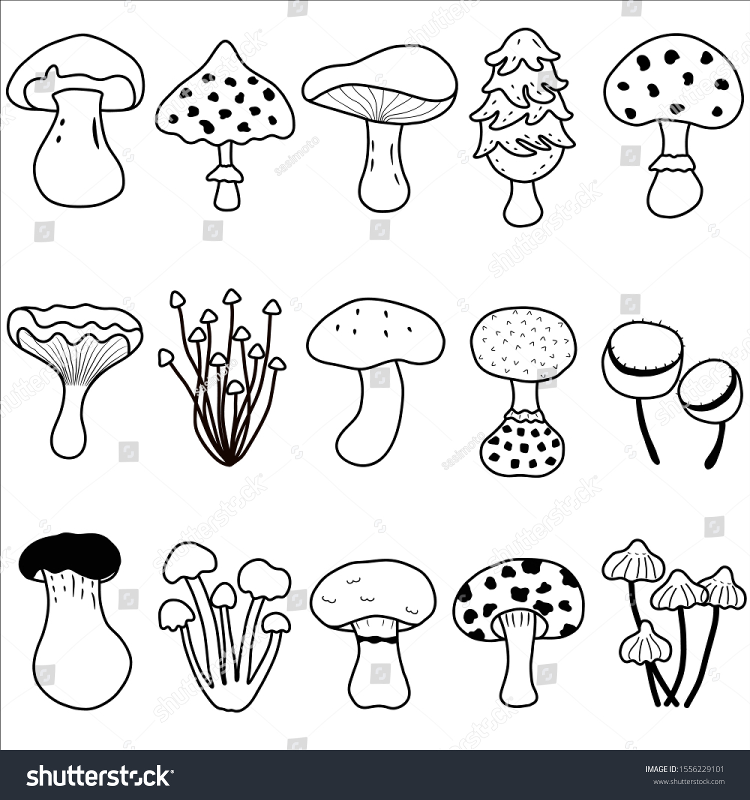 Cute vector fungi mushroom coloring chanterelle stock vector royalty free