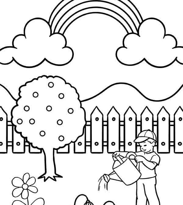 Dibujos de jardines para colorear